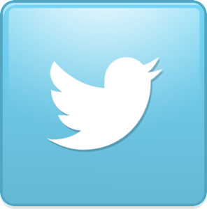 bird_twitter_new_square